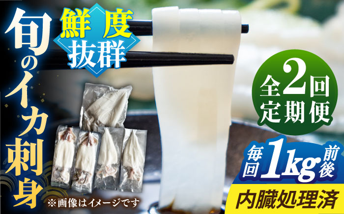 【全2回定期便】旬のイカ刺身1kg前後《壱岐市》【馬渡水産】イカ いか 烏賊 剣先 アオリ あおり スルメ するめ 刺身 刺し身 お刺身 海鮮 魚貝 冷凍配送 産地直送 [JAQ030]