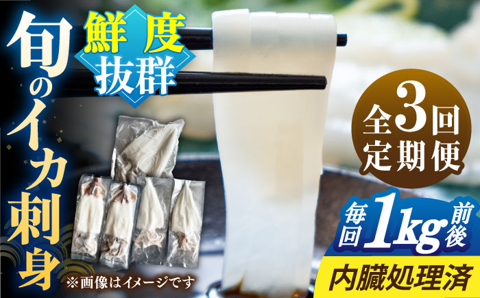 【全3回定期便】旬のイカ刺身1kg前後《壱岐市》【馬渡水産】イカ いか 烏賊 剣先 アオリ あおり スルメ するめ 刺身 刺し身 お刺身 海鮮 魚貝 冷凍配送 産地直送 [JAQ031]