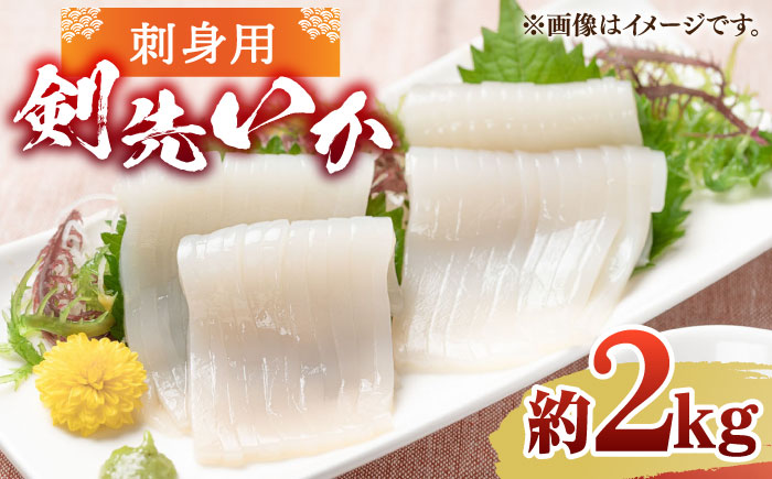 刺身用 剣先イカ 約2kg（急速冷凍）《壱岐市》【魚助】 イカ いか 剣先いか ケンサキイカ刺し身  鮮魚 海鮮 [JFX001]