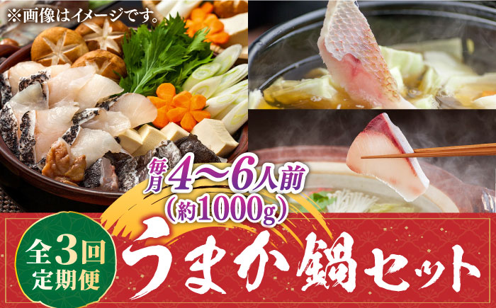 【先行予約受付中】【全3回定期便】《1・2・3月お届け》 うまか鍋セット 4～6人前（切身約1000g）【2026年1月以降順次発送】 《壱岐市》【魚助】 鍋 くえ クエ ブリ ぶり 鰤 鯛 たい タイ クエ鍋  [JFX004]