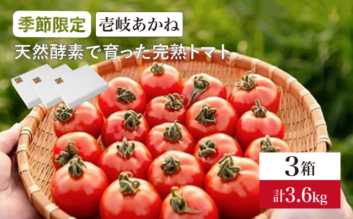 トマト 壱岐あかね  3箱(5個-10個×9パック) 《壱岐市》【フレッシュメイト壱岐】[JAZ003]  野菜 農産物 天然酵母 完熟 22000 22000円