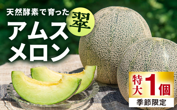 【先行予約】【贈答用】 天然酵素で育った アムスメロン「翠」特大 1個 【2026年6月中旬以降順次発送】《壱岐市》【フレッシュメイト壱岐】 フルーツ 果物 [JAZ006] 10000 10000円