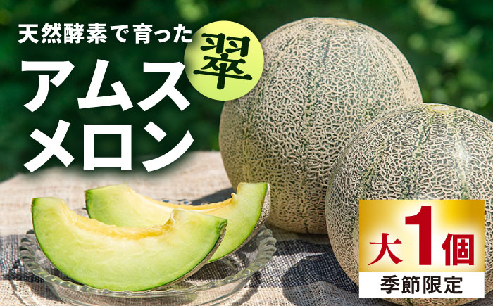 【先行予約】【贈答用】 天然酵素で育ったアムスメロン「翠」大 1個 【2026年6月中旬以降順次発送】《壱岐市》【フレッシュメイト壱岐】 フルーツ 果物  [JAZ007] 8000 8000円