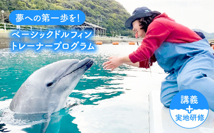 ベーシック・ドルフィントレーナー・プログラム 《壱岐市》【壱岐イルカパーク＆リゾート】[JBF003] 220000 220000円 22万円 体験