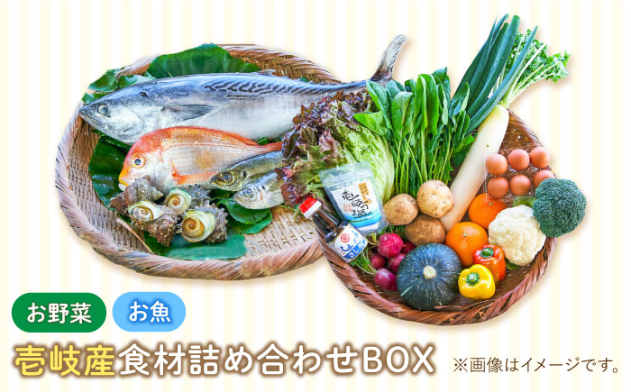壱岐産 食材詰め合わせ 野菜魚   《壱岐市》【壱岐イルカパーク＆リゾート】[JBF012] 42000 42000円