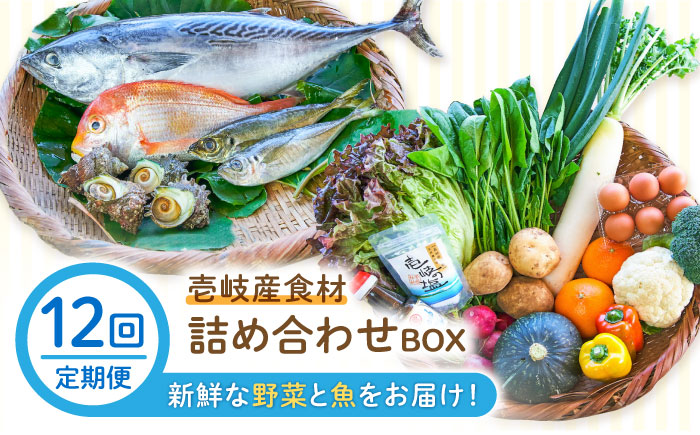 【全12回定期便】壱岐産食材詰め合わせBOX「野菜と魚」 [JBF026] 詰め合わせ 野菜 卵 鮮魚 セット 504000 504000円