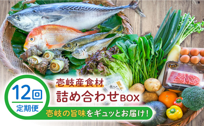 【全12回定期便】壱岐産食材詰め合わせBOX「野菜と魚と壱岐牛」 [JBF032] 壱岐牛 赤身 詰め合わせ 野菜 卵 鮮魚 セット 504000 504000円