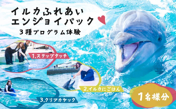 イルカふれあいエンジョイパック 1名様分 [JBF033]  長崎県 長崎 壱岐市 壱岐 体験 アクティビティ 30000 30000円 3万円