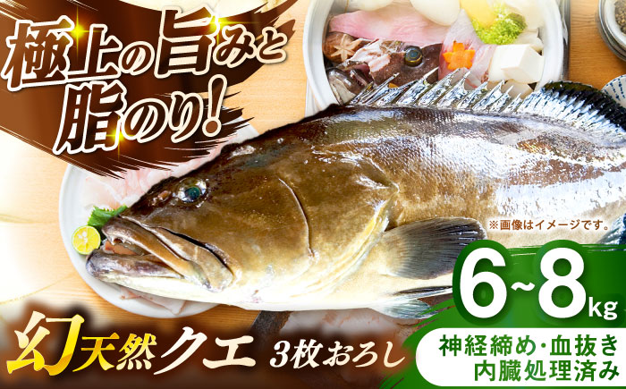 壱岐産　幻天然クエ　3枚おろし　6kg～8kg《壱岐市》 【みやげ処 縁由】 [JBJ018]