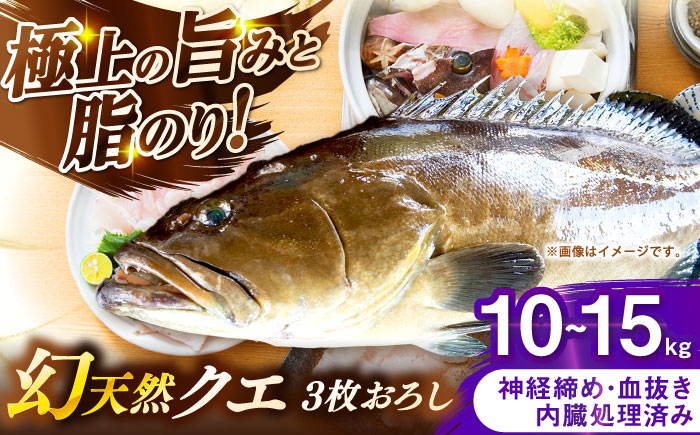 壱岐産　幻天然クエ　3枚おろし　10kg～15kg《壱岐市》 【みやげ処 縁由】 [JBJ021]