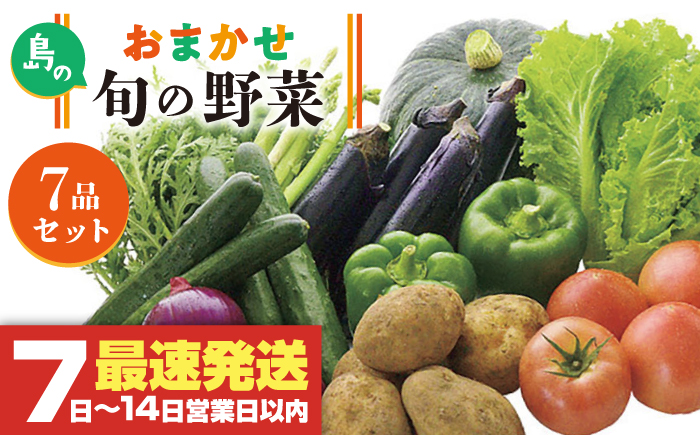 旬のお野菜7品セット 《壱岐市》【壱岐市農業協同組合】[JBO001] 新鮮 やさい ベジタブル 食材 詰め合わせ   のし プレゼント ギフト 10000 10000円 1万円