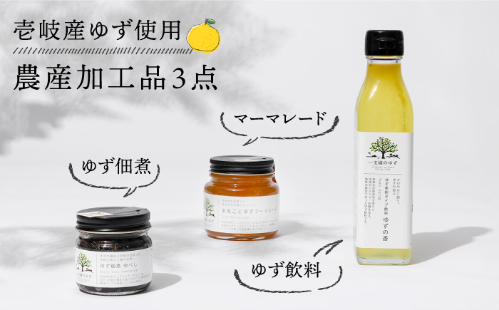 壱岐のゆずを使用した農産加工品セット(ゆず濃縮果汁・ゆず佃煮・マーマレード) [JBO021] ジャム
