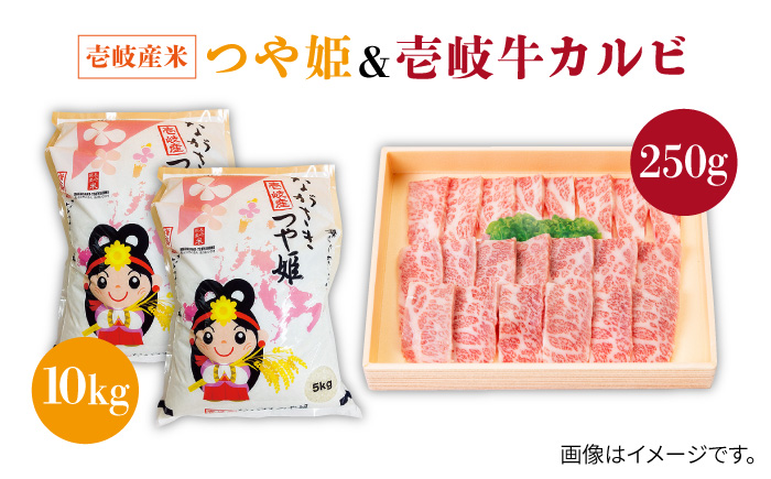 《A4～A5ランク》壱岐牛カルビ焼肉・壱岐産米セット(カルビ250g/米10kg)[JBO041]    33000 33000円