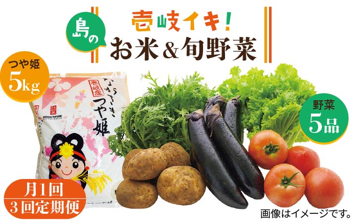 【全3回定期便】壱岐産 つや姫 5kg・旬の野菜 5品《壱岐市》【壱岐市農業協同組合】 [JBO047] 野菜 やさい 旬 季節 セット 詰め合わせ 産地直送 新鮮 サラダ 米 お米 ご飯 ごはん 白米 5キロ 定期便   69000 69000円
