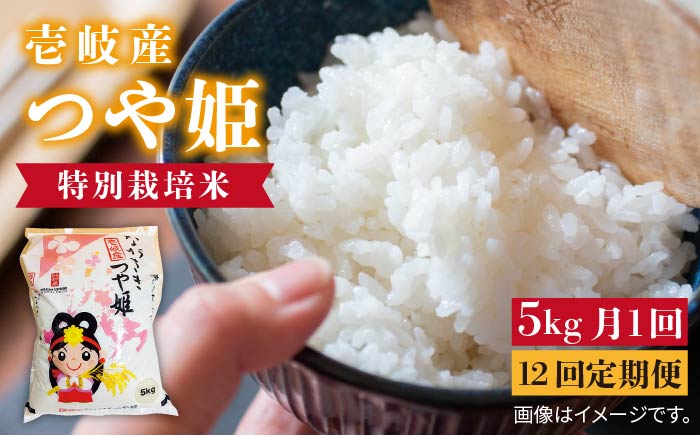 【先行予約】【全12回定期便】壱岐産 つや姫 5kg【2025年10月中旬以降順次発送】《壱岐市》【壱岐市農業協同組合】 [JBO058] 米 お米 白米 ご飯 ごはん 5キロ お弁当 朝食 定期便     200000 200000円 20万円