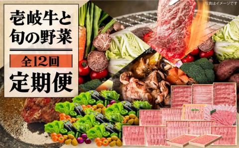 【全12回定期便】《A4～A5ランク》壱岐牛と旬の野菜定期便《壱岐市》【壱岐市農業協同組合】 [JBO079] 《A4～A5ランク》 肉 黒毛和牛 野菜 旬 詰め合わせ 贅沢 BBQ 315000円