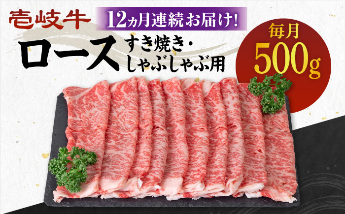 【全12回定期便】 《A4～A5ランク》壱岐牛 ロース 500g（すき焼き・しゃぶしゃぶ用）《壱岐市》【壱岐市農業協同組合】 肉 牛肉 ロース すき焼き しゃぶしゃぶ  薄切り 赤身 [JBO091] 384000 384000円
