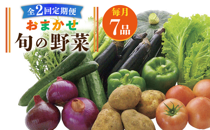 【全2回定期便】旬の野菜セット 7品《壱岐市》【壱岐市農業協同組合】季節 健康 栄養 やさい 詰め合わせ [JBO131] 20000 20000円