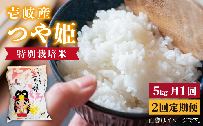 【全2回定期便】壱岐産　つや姫　5kg《壱岐市》【壱岐市農業協同組合】米 お米 ごはん 甘み 旨味 [JBO135] 34000 34000円