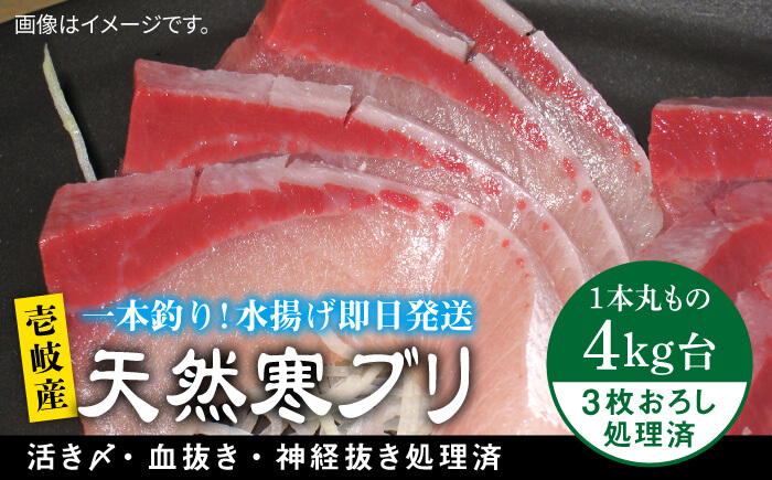壱岐島産天然寒ブリ（4キロ台・3枚おろし） 《壱岐市》【壱岐島　玄海屋】[JBS010]  魚 刺身 しゃぶしゃぶ 47000 47000円