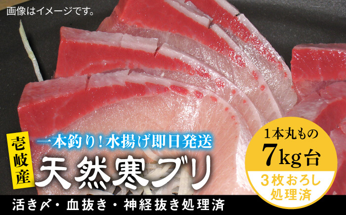 壱岐島産天然寒ブリ（7キロ台・3枚おろし） 《壱岐市》【壱岐島　玄海屋】[JBS012]  魚 刺身 しゃぶしゃぶ 77000 77000円