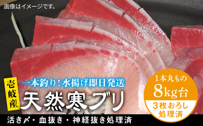 壱岐島産天然寒ブリ（8キロ台・3枚おろし） 《壱岐市》【壱岐島　玄海屋】[JBS013]  魚 刺身 しゃぶしゃぶ 96000 96000円