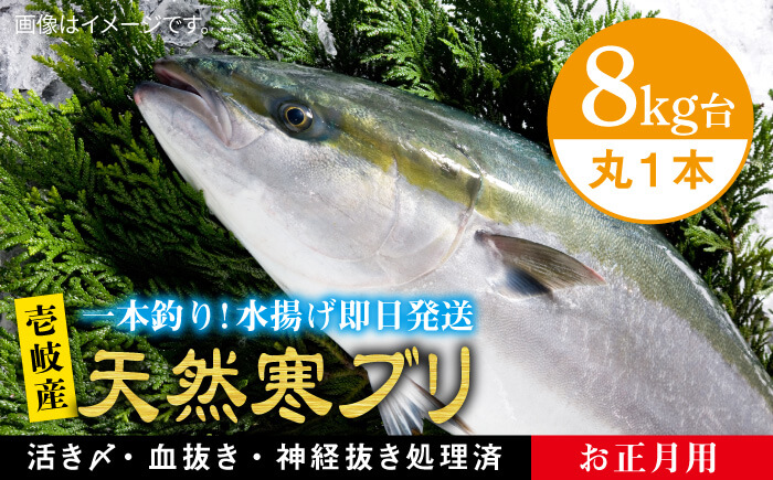 【お歳暮対象】【年内発送】【11/1～1/15お届け 年末年始用】天然 寒ブリ（8キロ台・丸もの） 《壱岐市》【壱岐島　玄海屋】[JBS017] 魚 刺身 しゃぶしゃぶ 190000 190000円 19万