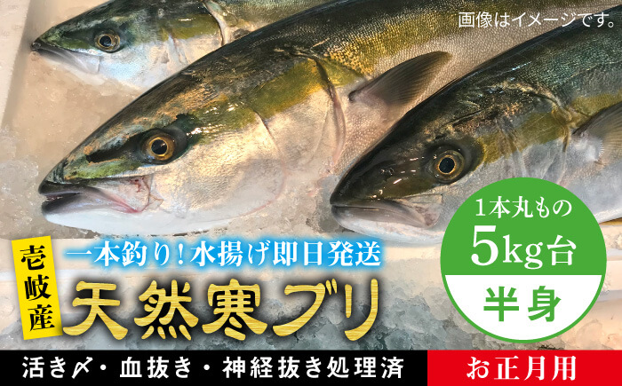 【お歳暮対象】【年内発送】※12/20-1/15配送【年末年始用】壱岐島産天然寒ブリ（一本丸ものサイズ5キロ台の半身ブロック） [JBS019] 54000 54000円