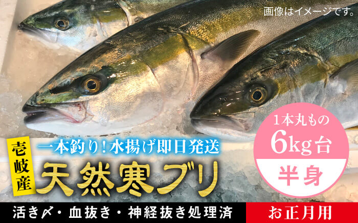 【お歳暮対象】【年内発送】※12/20-1/15配送【年末年始用】壱岐島産天然寒ブリ（一本丸ものサイズ6キロ台の半身ブロック） [JBS020] 68000 68000円