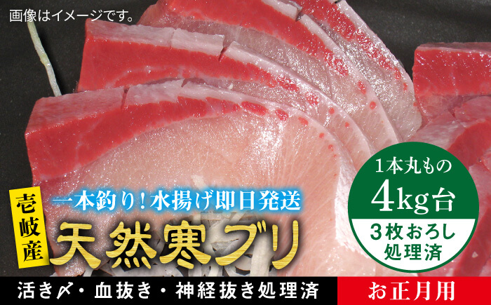 【お歳暮対象】【年内発送】【11/1～1/15お届け 年末年始用】天然 寒ブリ（4キロ台・3枚おろし） 《壱岐市》【壱岐島　玄海屋】[JBS022] 魚 刺身 しゃぶしゃぶ 69000 69000円 6万