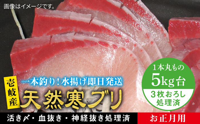【お歳暮対象】【年内発送】【11/1～1/15お届け 年末年始用】天然 寒ブリ（5キロ台・3枚おろし） 《壱岐市》【壱岐島　玄海屋】[JBS023]  魚 刺身 しゃぶしゃぶ 80000 80000円