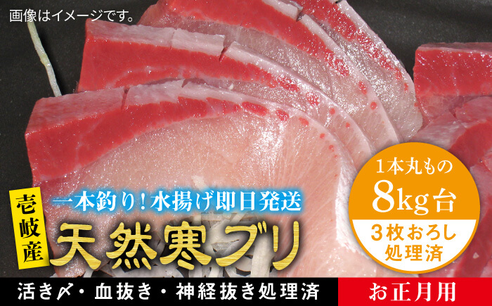 【お歳暮対象】【年内発送】【11/1～1/15お届け 年末年始用】天然 寒ブリ（8キロ台・3枚おろし） 《壱岐市》【壱岐島　玄海屋】[JBS025]  魚 刺身 しゃぶしゃぶ 200000 200000円