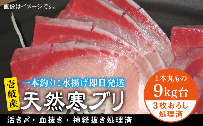 壱岐島産天然寒ブリ（9キロ台・3枚おろし） 《壱岐市》【壱岐島　玄海屋】[JBS030]  魚 刺身 しゃぶしゃぶ 113000 113000円