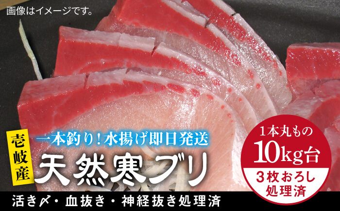壱岐島産天然寒ブリ（10キロ台・3枚おろし） 《壱岐市》【壱岐島　玄海屋】[JBS031]  魚 刺身 しゃぶしゃぶ 129000 129000円
