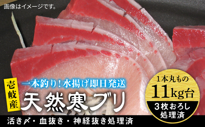壱岐島産天然寒ブリ（11キロ台・3枚おろし） 《壱岐市》【壱岐島　玄海屋】[JBS032]  魚 刺身 しゃぶしゃぶ 145000 145000円