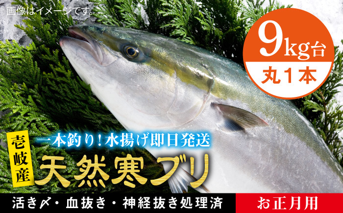 【お歳暮対象】【年内発送】【11/1～1/15お届け 年末年始用】天然 寒ブリ（9キロ台・丸もの） 《壱岐市》【壱岐島　玄海屋】[JBS033]  魚 刺身 しゃぶしゃぶ 240000 240000円