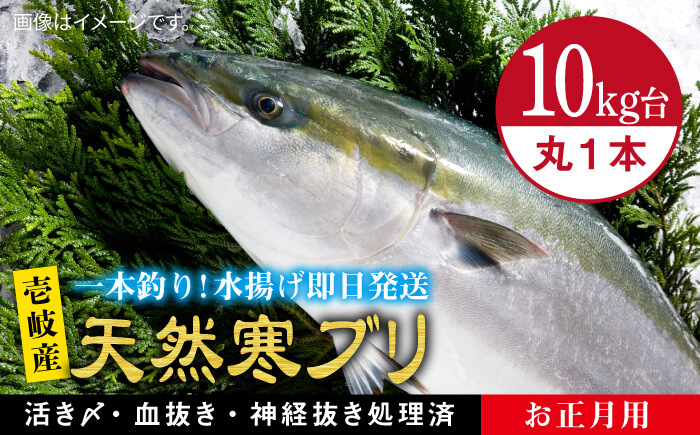 【お歳暮対象】【年内発送】【11/1～1/15お届け 年末年始用】天然 寒ブリ（10キロ台・丸もの） 《壱岐市》【壱岐島　玄海屋】[JBS034]  魚 刺身 しゃぶしゃぶ 300000 300000円
