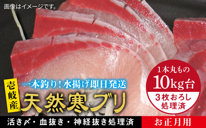 【お歳暮対象】【年内発送】※12/20-1/15配送【年末年始用】壱岐島産天然寒ブリ（一本丸ものサイズ10キロ台・3枚おろし） [JBS037] 310000 310000円 31万