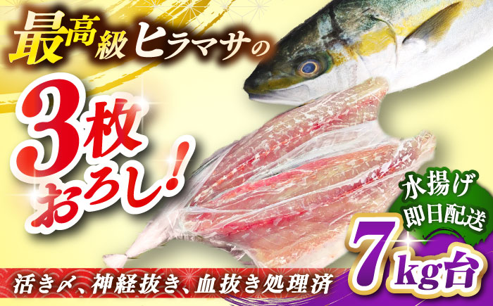 壱岐島産天然ヒラマサ（7キロ台・三枚おろし） 《壱岐市》【壱岐島　玄海屋】[JBS080] ヒラマサ 魚 刺身 煮物 カルパッチョ お寿司  150000 150000円
