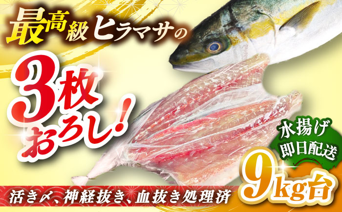壱岐島産天然ヒラマサ（9キロ台・三枚おろし） 《壱岐市》【壱岐島　玄海屋】[JBS082] ヒラマサ 魚 刺身 煮物 カルパッチョ お寿司  250000 250000円 25万円