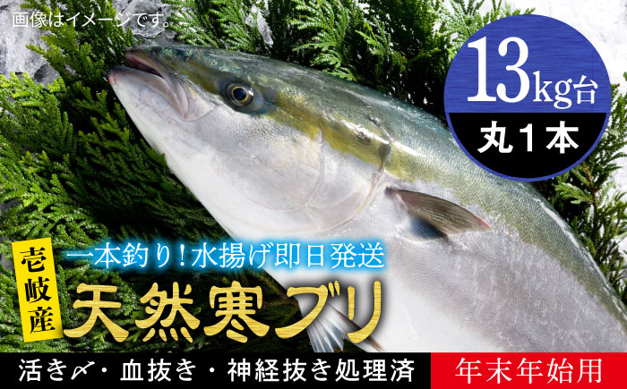 【お歳暮対象】【年内発送】【お正月用】壱岐島産天然寒ブリ（13ｷﾛ台・丸もの） [JBS115]