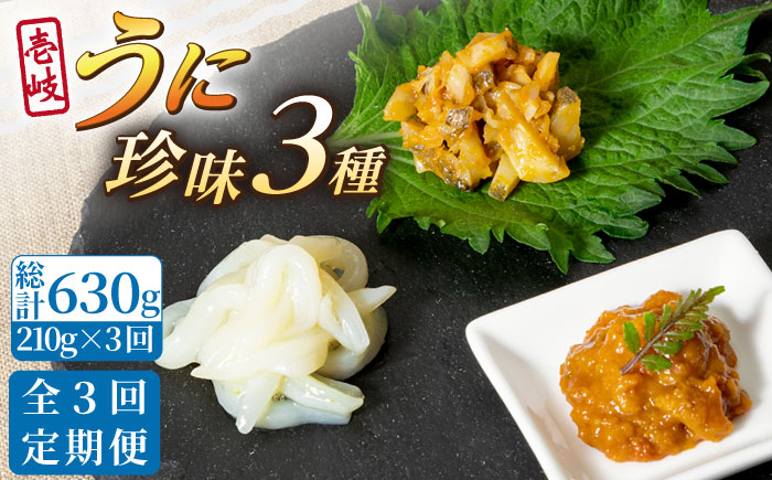 【全3回定期便】壱岐 うに 珍味 3本 セット 《壱岐市》【下久商店株式会社】[JBZ031] イカ 塩辛 柚子 ウニ 雲丹 がぜうに ガゼウニ 海産物 海鮮 おつまみ ご飯のお供 ごはんのおとも 瓶詰 瓶 54000 54000円
