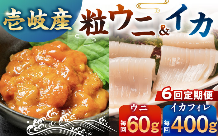 【全6回定期便】【冷凍】壱岐産剣先イカフィレ(80g)×5枚　壱岐産粒うに瓶60g×1本　《壱岐市》　【一支國屋】 [JCC018]