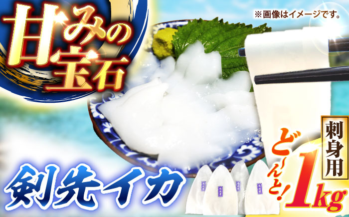 【冷凍】剣先イカ 刺身用 1kg　剣先烏賊 《壱岐市》 【一支國屋】海鮮 烏賊 イカ いか 剣先イカ 冷凍配送 [JCC021]