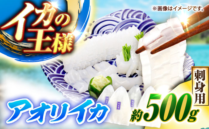 【冷凍】アオリイカ 刺身用 500g　水烏賊 《壱岐市》 【一支國屋】海鮮 烏賊 イカ いか 刺身 刺し身 お刺身 アオリイカ 冷凍配送 [JCC023]