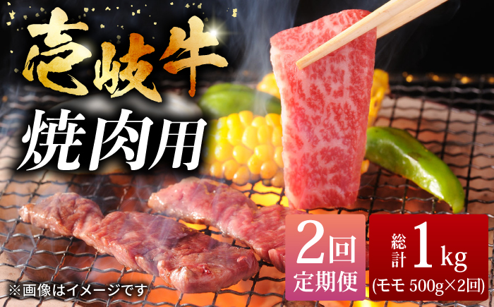 【全2回定期便】壱岐牛焼き肉セット 500g《壱岐市》【株式会社ヤマグチ】牛肉 黒毛和牛 ブランド牛 九州 肉 [JCG126] 40000 40000円 4万円