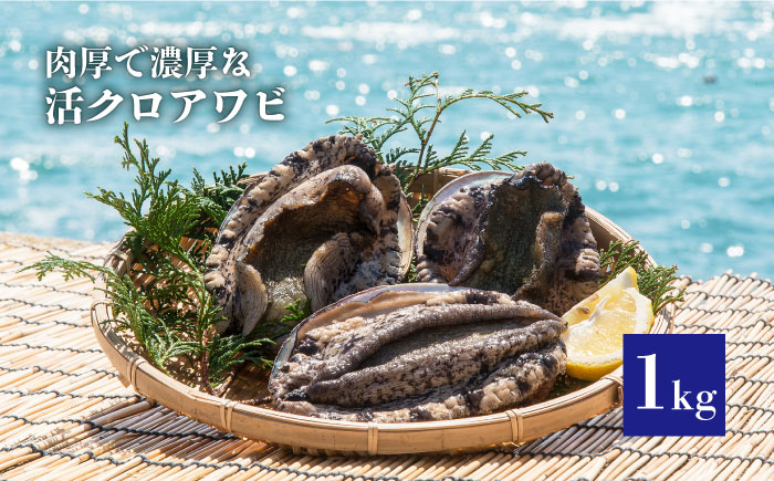 玄海灘の荒海で水揚げされた（活）クロアワビ 《壱岐市》【丸和水産】[JCJ006] 51000 51000円