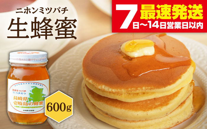 ニホンミツバチ 生蜂蜜 600g×1 《壱岐市》【憲ちゃんハチミツ】[JCL001] はちみつ 蜂蜜 日本蜜蜂 30000 30000円