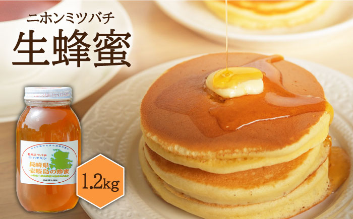ニホンミツバチ 生蜂蜜 1,200g×1 《壱岐市》【憲ちゃんハチミツ】[JCL003] はちみつ 蜂蜜 日本蜜蜂 58000 58000円