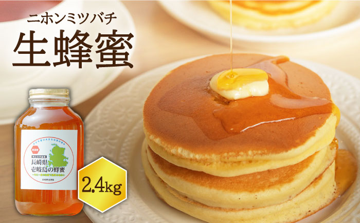 ニホンミツバチ 生蜂蜜 2,400g×1 《壱岐市》【憲ちゃんハチミツ】[JCL004] はちみつ 蜂蜜 日本蜜蜂 114000 114000円
